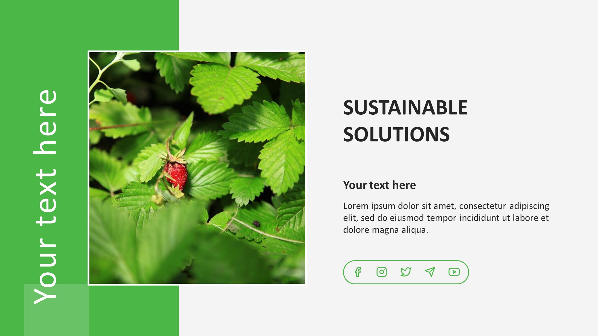 Sustainable Solutions PowerPoint Template
